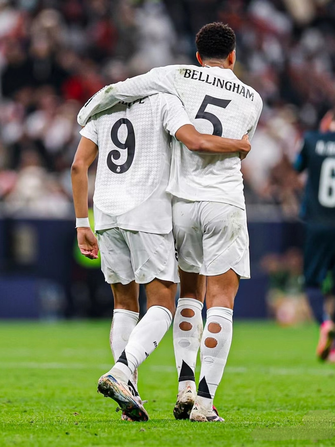 这样积极的 这样积极的